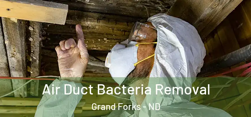  Air Duct Bacteria Removal Grand Forks - ND