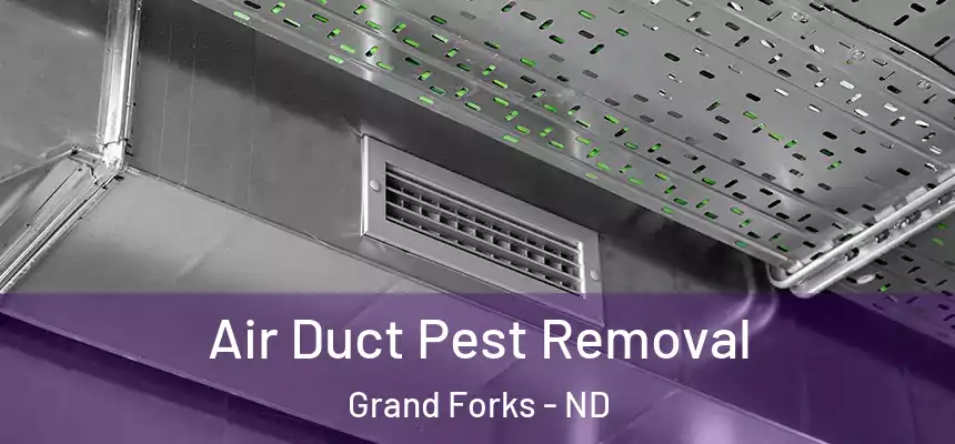  Air Duct Pest Removal Grand Forks - ND