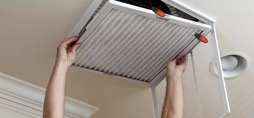 Preventive Cockroach-Proofing for Ducts in Grand Forks