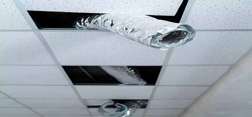 Our Air Duct Pet Hair Removal Services in Grand Forks, ND