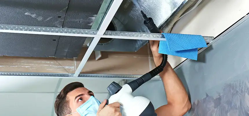 Our Air Duct Rodent Removal Services in Grand Forks, ND