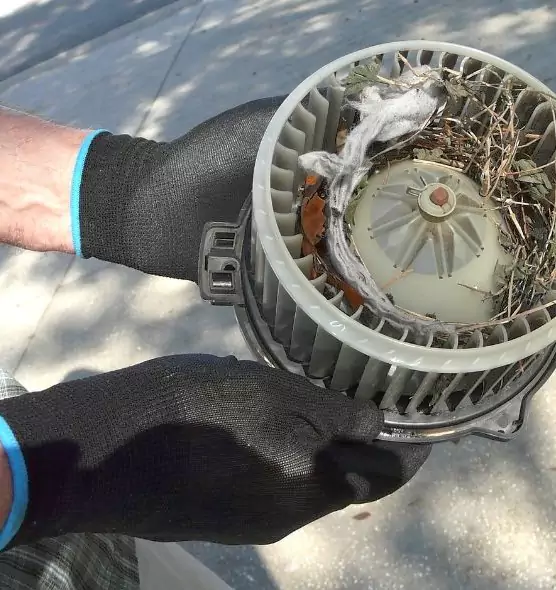 About Air Duct Mice Removal in Grand Forks, ND