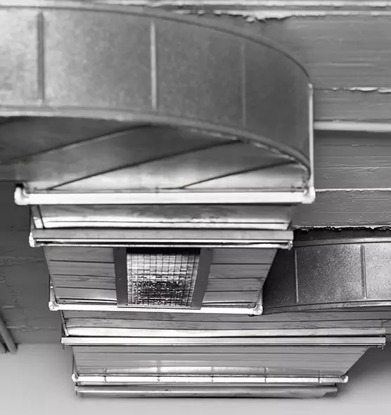 Professional Air Duct Pest Removal in Grand Forks, ND