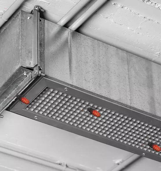 Affordable Insect Removal from Air Ducts in Grand Forks, ND